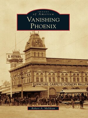 cover image of Vanishing Phoenix